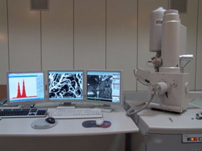  Elektronowy mikroskop skaningowy 